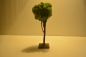 Natur-Islandmoos-Baum in  stabiler Ausführung  21 cm