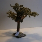 Wurzelbaum  mit lichtechtem Moos