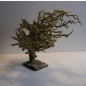 Wurzelbaum mit lichtechtem Moos