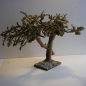 Wurzelbaum  mit lichtechtem Moos