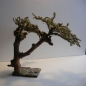 Wurzelbaum  mit lichtechtem Moos