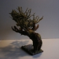 Schön gewachsener Wurzelbaum  ca. 33 cm