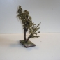 Wurzelbaum  mit lichtechtem Moos 22 cm