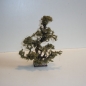 Wurzelbaum  mit lichtechtem Moos Höhe 21 cm