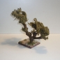 Wurzelbaum  mit lichtechtem Moos Höhe 20 cm