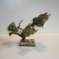 Wurzelbaum  mit lichtechtem Moos Höhe 20 cm