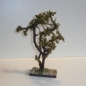 Wurzelbaum  mit lichtechtem Moos Höhe 24 cm