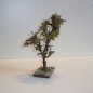 Wurzelbaum  mit lichtechtem Moos Höhe 24 cm