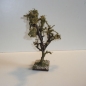 Wurzelbaum  mit lichtechtem Moos Höhe 24 cm