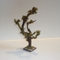 Schön gewachsener Wurzelbaum 24 cm