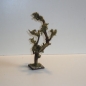 Schön gewachsener Wurzelbaum 24 cm