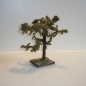 Wurzelbaum  mit lichtechtem Moos  Höhe 20 cm