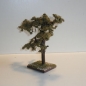 Wurzelbaum  mit lichtechtem Moos  Höhe 20 cm