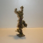 Schön gewachsener Wurzelbaum 24 cm