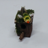 Vogel bunt mit Federn