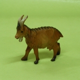 Ziege stehend