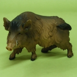 Wildschwein