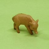Ferkel