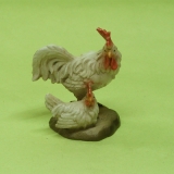 Hahn weiß mit Jungem