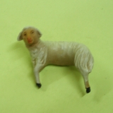 Schulterschaf