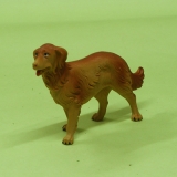 Hund stehend braun