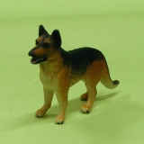 Hund stehend