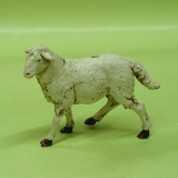 Schaf stehend