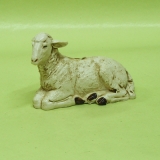 Schaf liegend