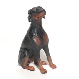 Hund sitzend (Dobermann) in wunderschöner natürlicher Ausstrahlung