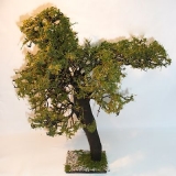 Baum (Naturmaterial)