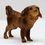 Hund