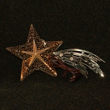 Metallstern