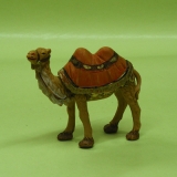 Kamel mit oranger Decke