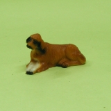 Hund liegend braun