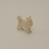 Hund (Spitz)