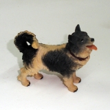 Hund