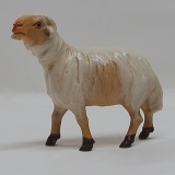 Schaf , stehend