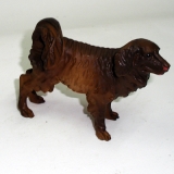 Hund stehend