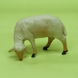 Schaf aesend