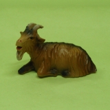 Ziege liegend