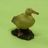 Ente gross