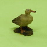 Ente klein