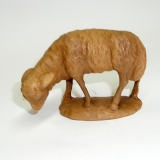 Schaf äsend