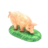 Schwein