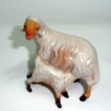 Schaf mit Lamm säugend