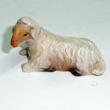 Lamm liegend