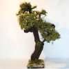 Baum (Naturmaterial)
