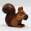 Eichhörnchen