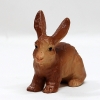 Hase