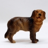 Hund